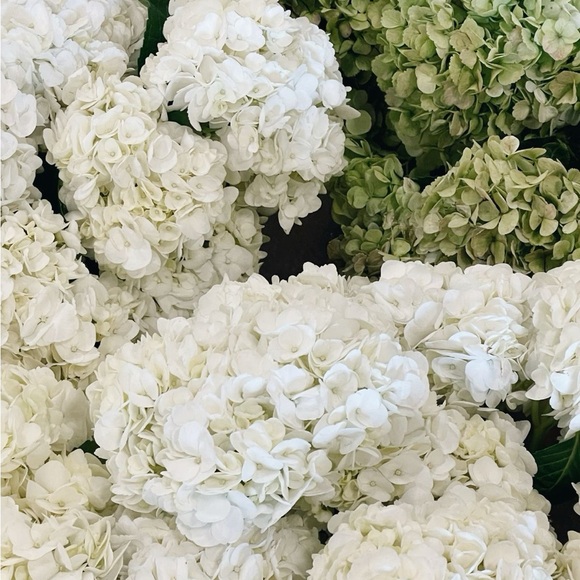 Unlisted - Picture 1 of 1